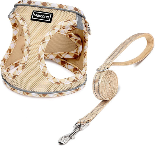 Soft Mesh Dog Harness and Leash Set, Step-In Reflective Breathable Lightweight Vest Harnesses with Safety Buckle for Small Dogs, Cats (Beige, XXS)
