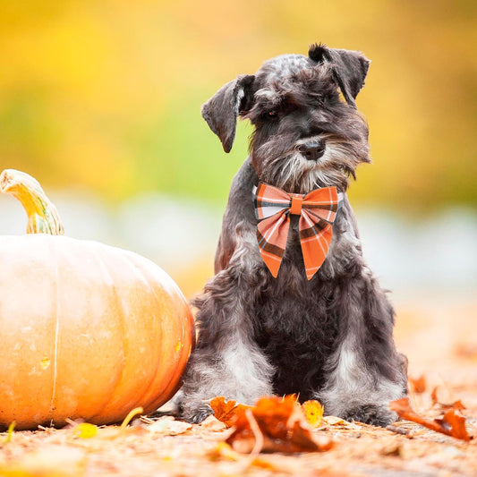 Fall Dog Collar with Bow, Plaid Thanksgiving Dog Bow Tie, Small