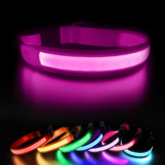 Light up Collar, Glow LED Rechargeable Flashing Night Walking Collar - Waterproof, 4 Colors, 3 Sizes for Small to Large Dogs
