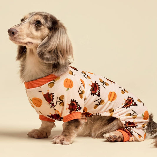 Thanksgiving Turkey Dog Pajamas, Funny Dog Winter Clothes for Small Dogs Girl Boy, Pet Jumpsuit, Cat Onesie with Feet, Lightweight Velvet, Orange, Large